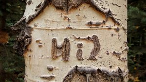 Your Scars Can Increase Your Personal Strength