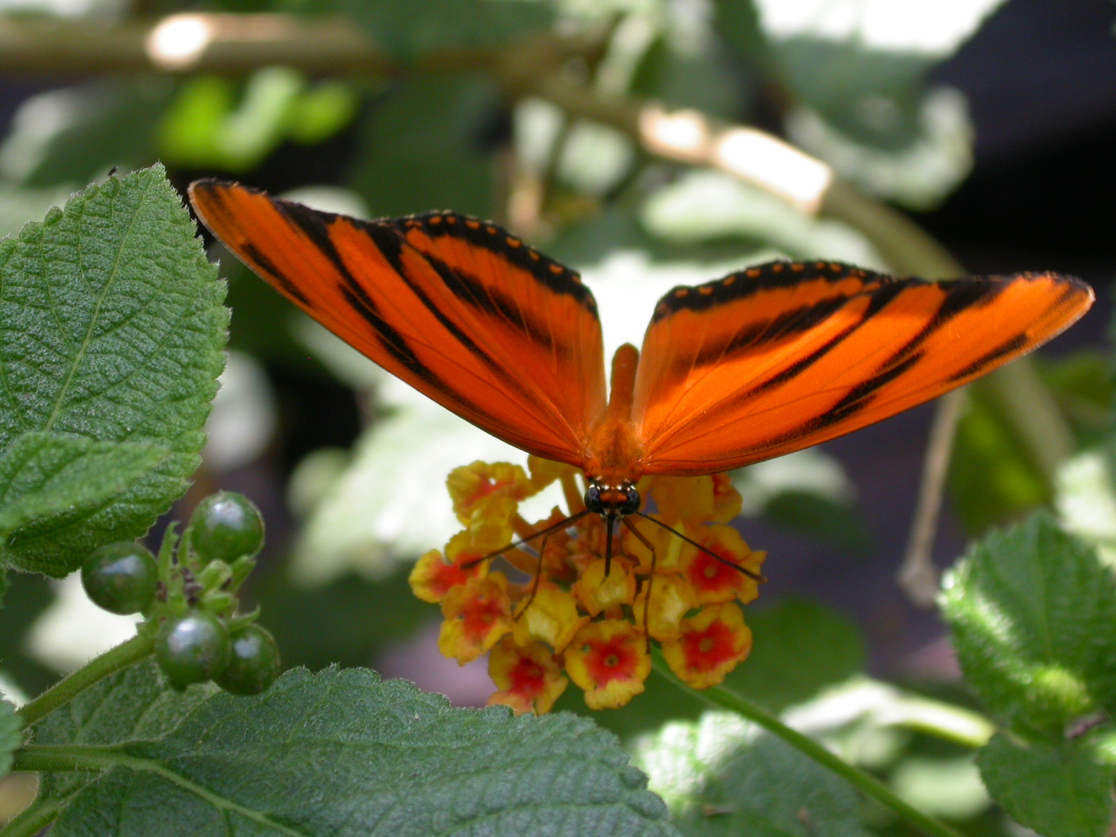 On Being Tired of Fighting the Fight